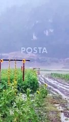 Lluvias y fuertes vientos provocan caos en Santiago (VIDEO)