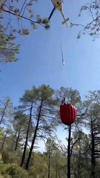 Liquidan autoridades al 100&percnt; fuego en comunidad Canoas en Santa Catarina