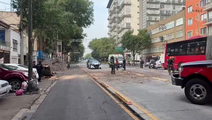 Cae árbol de 20 metros y afecta la circulación de la Línea 3 del Metrobús