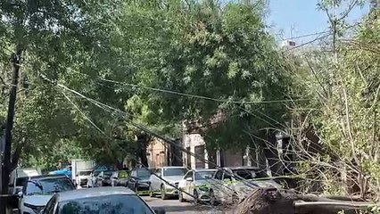 Sin energía eléctrica en el centro de Monterrey tras caída de árbol y poste