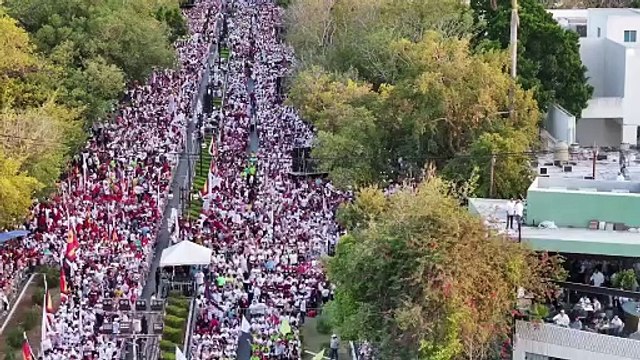 Claudia Sheinbaum en Yucatán: Ola guinda recibe a la candidata presidencial