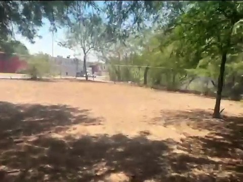 Brigadistas salvan a caballos de morir calcinados en Escobedo