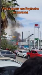 ¡Oh Sheed!: Explota negocio y joven se hace viral por reacción