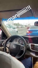 Captan mono libre en las calles de México, así fue el peculiar momento| VIDEO