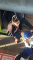 ¡Angustia en la Línea 12! Rescatan a mujer con pie atrapado entre tren y andén
