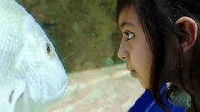 Girl love to watch the fish un the aquarium🥰