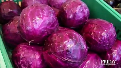 Emirates Bio Farm tour: organic farming in Al Ain