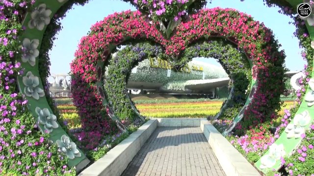 Flower power: Dubai Miracle Garden welcomes back visitors with 150 million flowers
