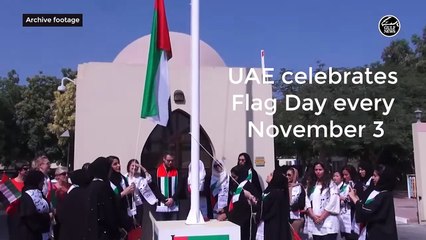 UAE Flag Day: What do the colours of the flag mean?