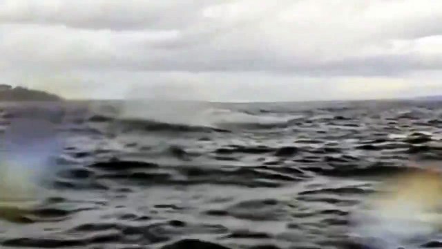 'I thought I was dead': Kayaker swallowed by humpback whale recounts 'strange' incident