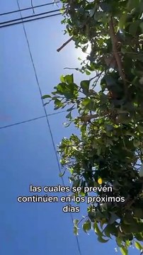 ¡Ya viene el calor! Pronostican temperaturas superiores a los 35 grados