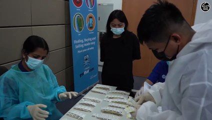 Gulf News health campaign: Free COVID and blood sugar tests for staff