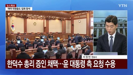 한덕수·홍장원·조지호 증인 채택...10차 변론 추가 / YTN