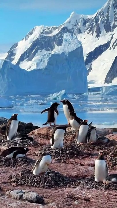 LES BEAUX PAYSAGES du Continent Blanc