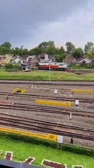 Udah Pada Kumpul Kan? 🤭🤔