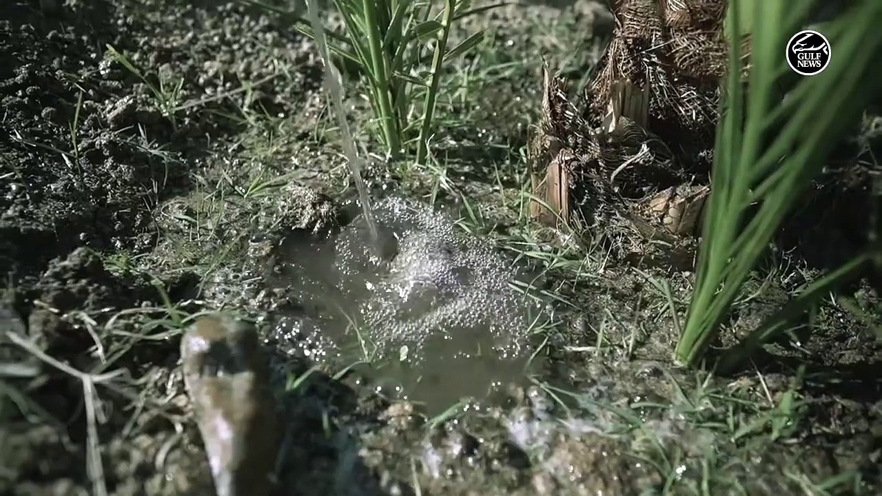 Changing phases of Emirati life in UAE through the eyes of a Ras Al Khaimah tribe