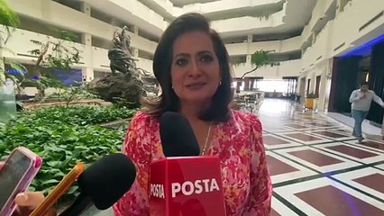 Solicita Alma Alcaraz parar agresiones contra candidatos de su partido