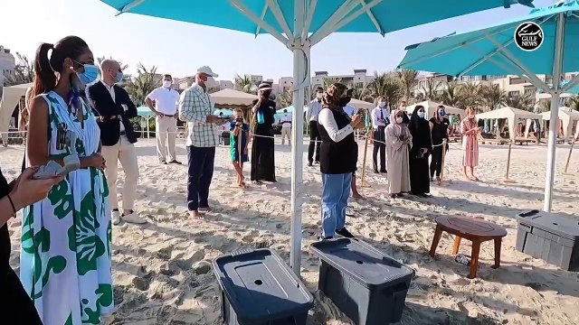 World Sea Turtle Day: UAE group releases 30 turtles back into the sea after caring for them