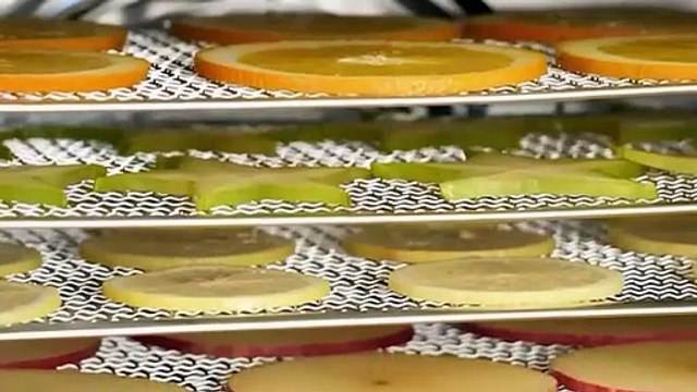 10-Tray Stainless Steel Food Dehydrator with Digital Timer