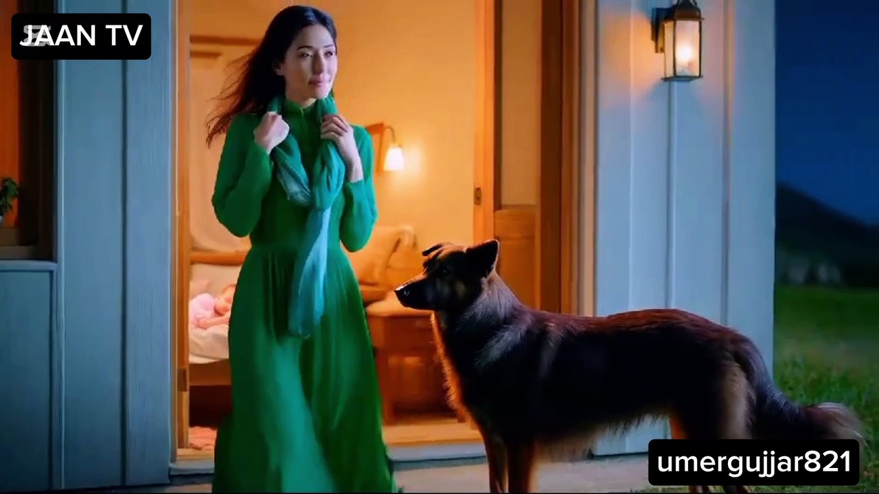 Dog And Wolf
