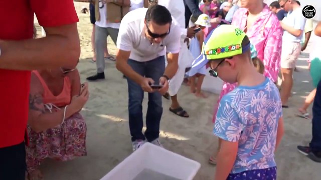 Dubai Turtle Rehabilitation Project releases rescued turtles on World Sea Turtle Day 2022