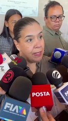 Más de 30 mascotas murieron envenenadas