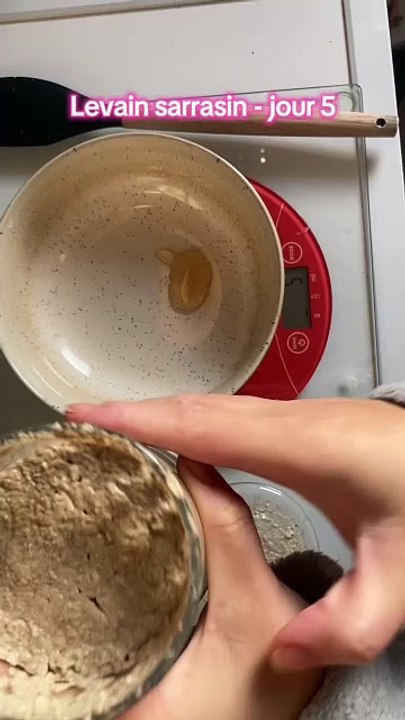 Levain sarrasin - jour 5, après avoir rectifié la texture, il pousse mieux ! #levain #sarrasin #sansgluten