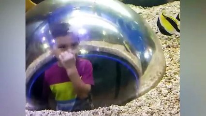 Hilarious Kids at the Aquarium! 😱 Girl Gets SPOOKED by a Beluga Whale!