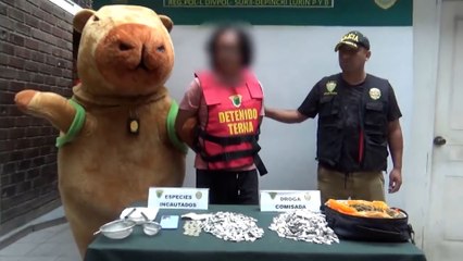 La Policía peruana se disfraza de  capibara para detener a un narco