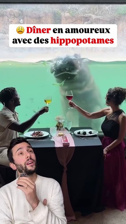 Diner de Saint-Valentin avec des hippo 😢