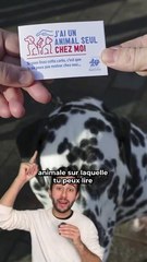 Cette carte peut sauver ton animal de compagnie
