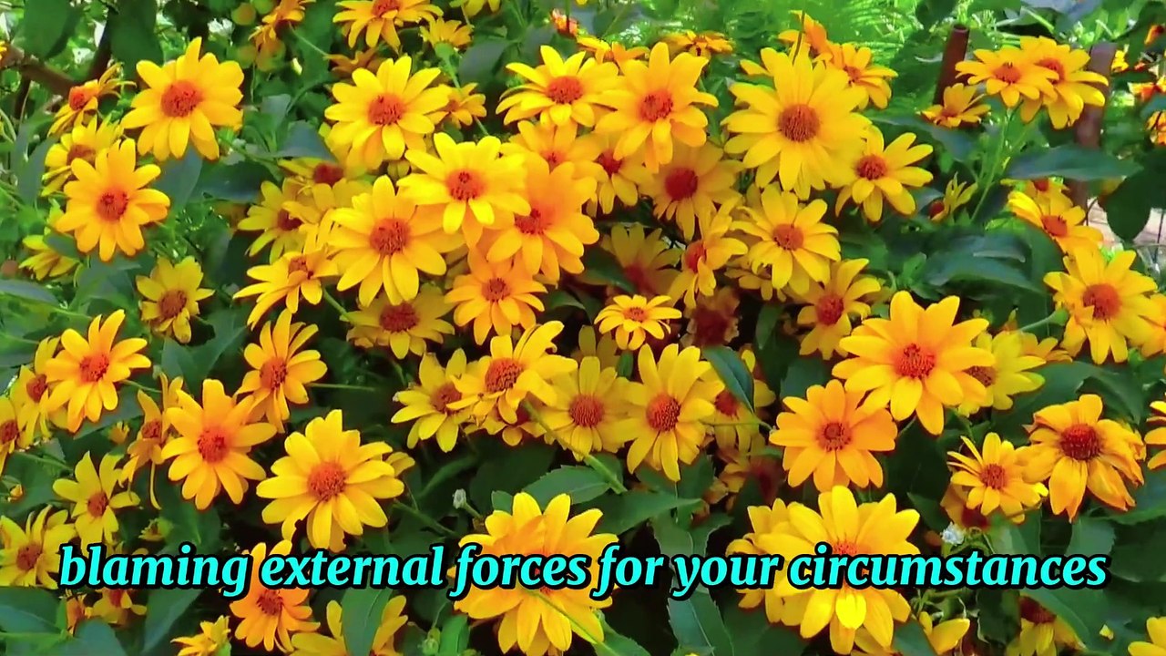 Master This Response and Take Back Your Power! |Best Motivational Speech | By Jordan Peterson