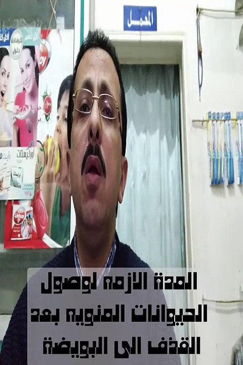 ما هى المدة الزمنيه التى تحتاجها الحيوانات المنويه للوصول الى البويضه وتلقيحها؟