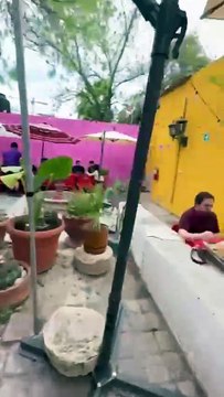 “El Jurelito”, tacos tipo Baja, llegan de La Paz a Monterrey