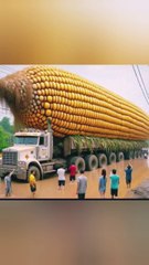 Fruit and vegetables farming