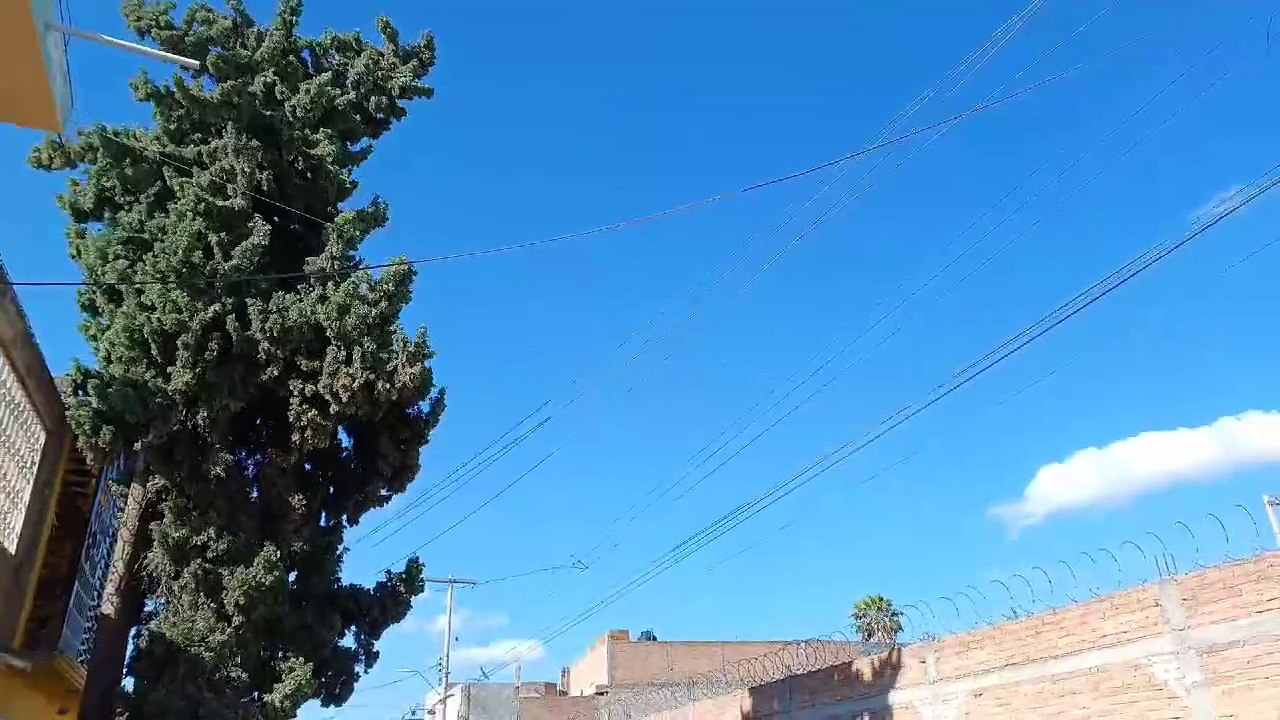 ¡Evita zonas arboladas en Durango!