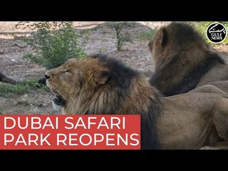 Dubai Safari Park to open doors for a new season