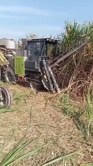 Live Updates: Los Angeles Earthquake Today 🌎