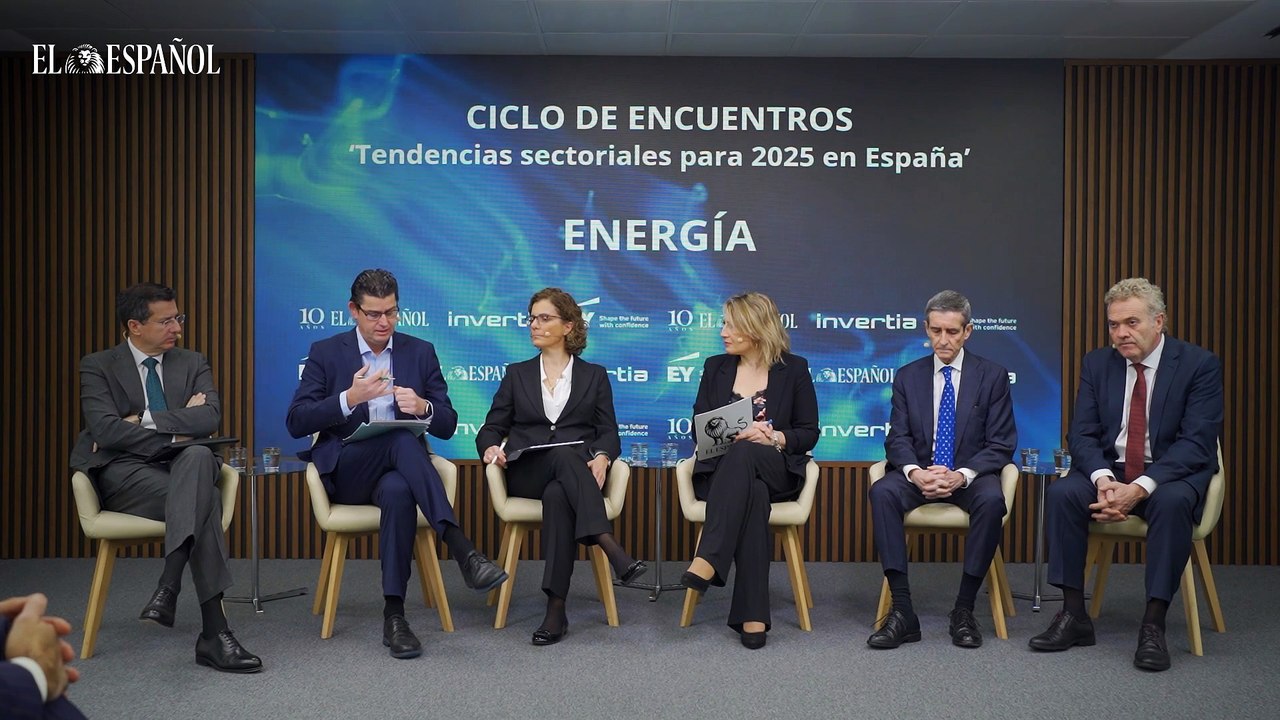 Mesa redonda energía resumen