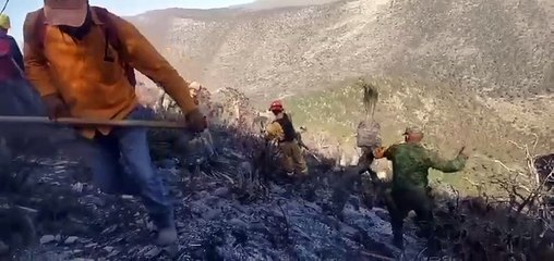 Suman 80 hectáreas consumidas por incendio en Zaragoza