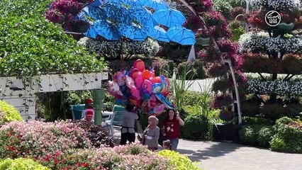 Dubai Miracle Garden: Inside the world's largest natural flower garden