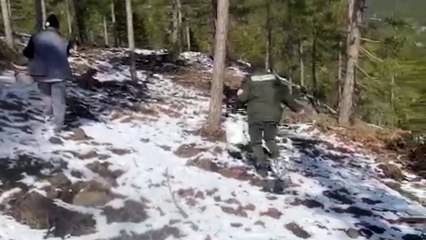 DONDURUCU SOĞUKTA TOHUM SERPTİLER