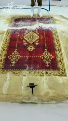 Flooded - Red Carpet With Beautiful Patterns You Didn't Expect - Satisfying Video #Shorts