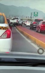 Intenta conductor saltar camellón y queda atascado en avenida (VIDEO)