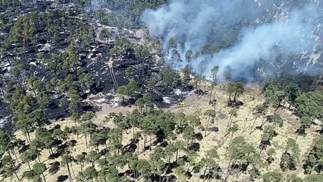 Controlan el incendio forestal en Santa María del Monte, en Zinacantepec (VIDEO)