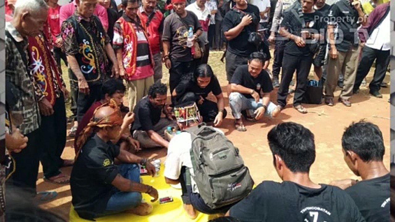 Yohanes Nenes SH, kuasa hukum PT SBI luruskan seputar bongkar  peraga adat Dayak tempayan mandoh di Desa Beginjan, Kecamatan Tayan Hilir, Kabupaten Sanggau, Provinsi Kalimantan Barat, Rabu, 22 Januari 2025. Tonton di Akun TikTok@diotv.com