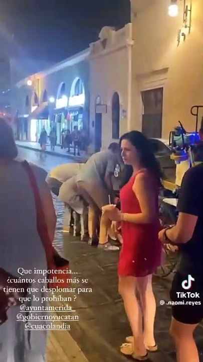 Viral en TikTok: Caballo de Calesa se desploma en Mérida
