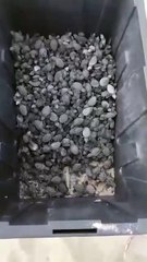 Cuenta Los Cabos con 21 corrales de anidación de tortuga golfina