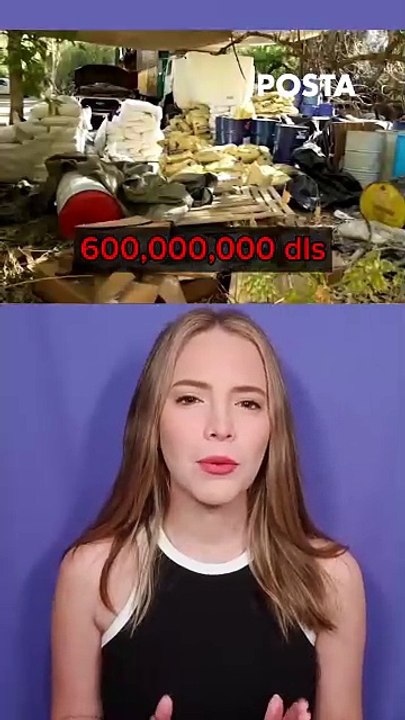 El poderío económico del narco