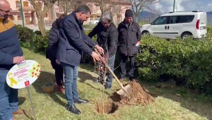 L’Aslti, l’associazione siciliana contro le leucemie di tumori infantili, ha piantato un albero di melograno a Geraci Siculo